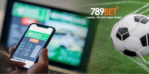 cá độ bóng đá qua mạng