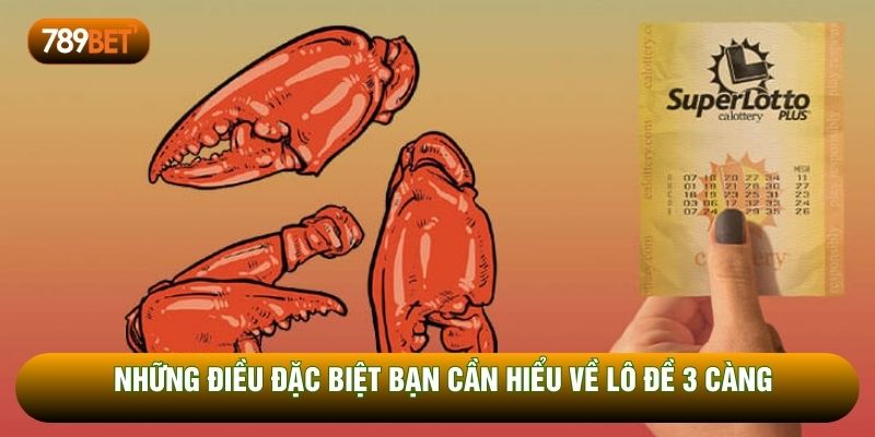 Những điều đặc biệt bạn cần hiểu về lô đề 3 càng
